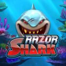 Razor Shark Slot Review (UK)