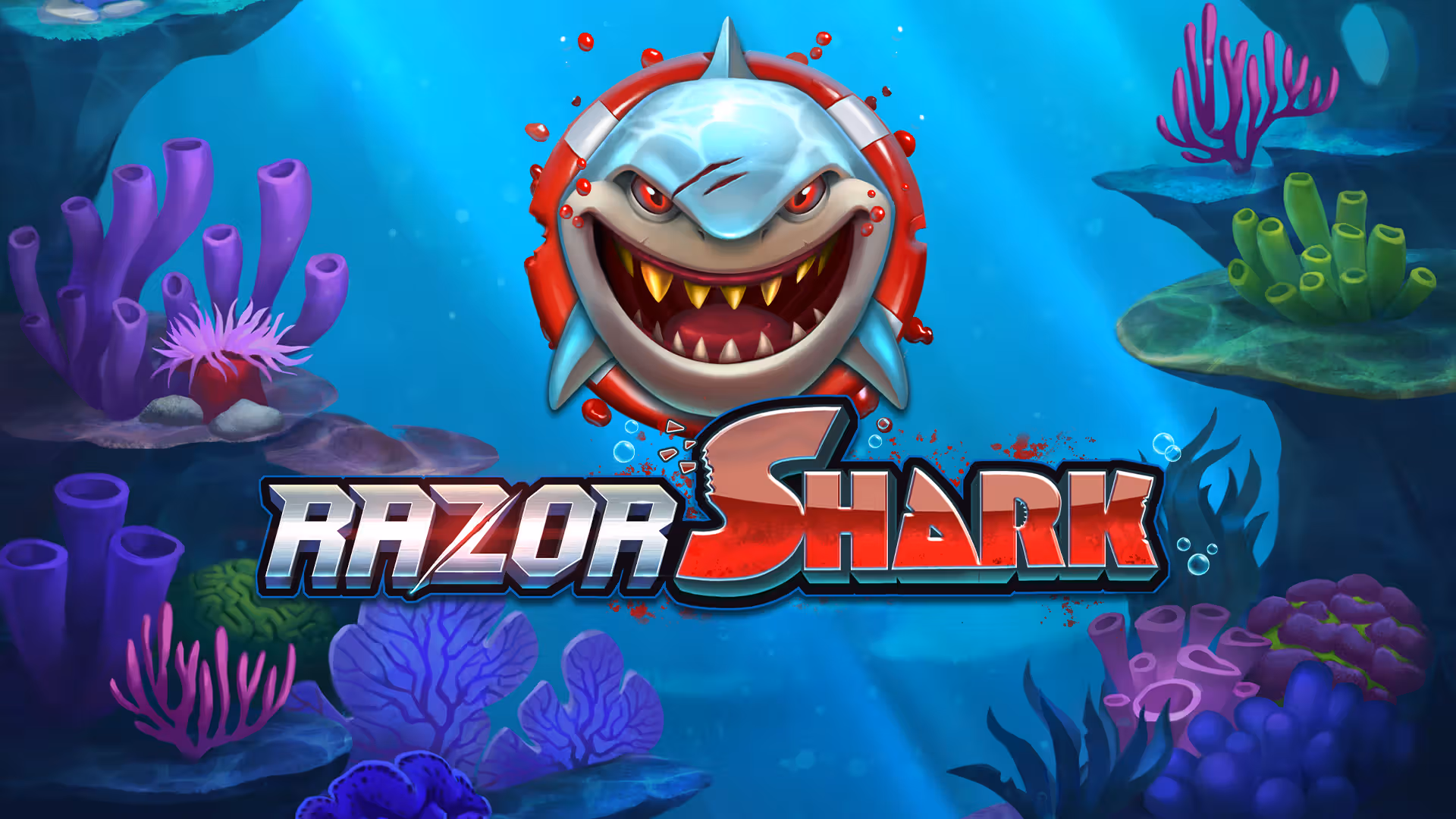 Introduction – What's Razor Shark All About?